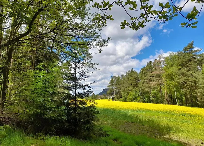 Ferienhaus Helmig