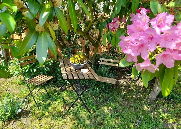 Ferienhaus Helmig