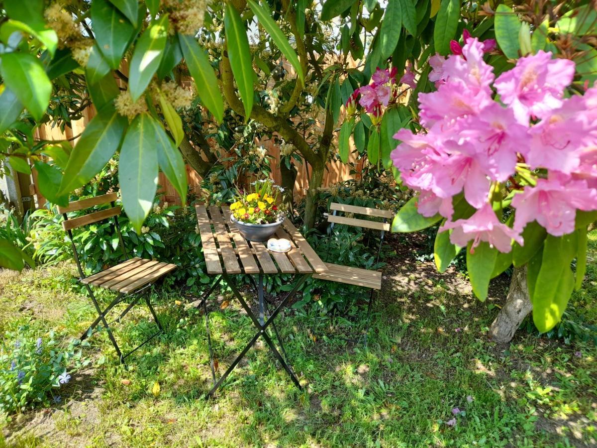 Apartment Helmig Kurort Gohrisch